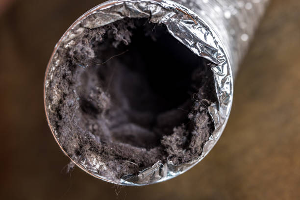 Best Best Air Duct Cleaning Company  in Mallory, WV