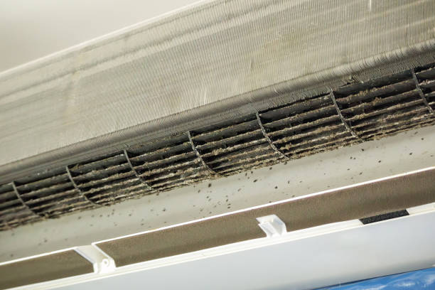 Best Dryer Vent Cleaning Services  in Mallory, WV