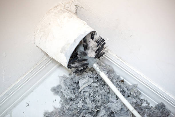 Best Air Vent Cleaning Services  in Mallory, WV