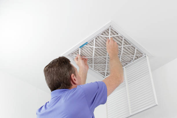Best Air Duct Cleaning Near Me  in Mallory, WV